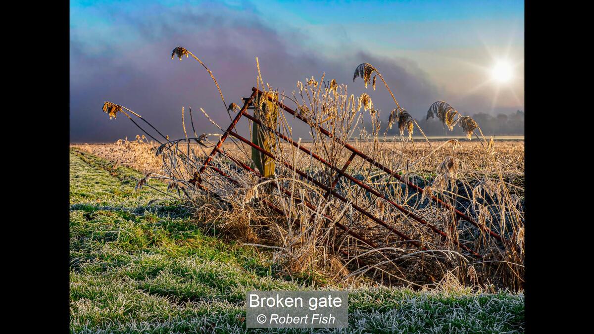 Broken gate
